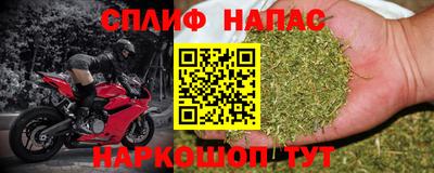 тгк Славгород