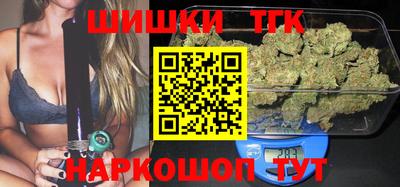 тгк Славгород