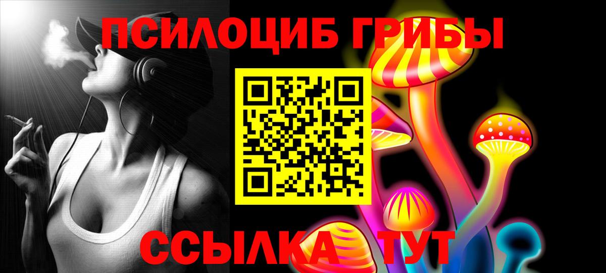 Галлюциногенные грибы прущие грибы  Псилоцибиновые грибы MAGIC MUSHROOMS  Глазов  Вход с VPN 